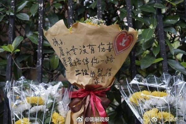 电讯报：曼联提出租借大马丁被拒，维拉标价约为4000万英镑